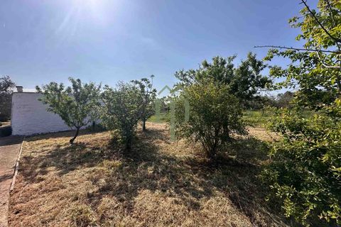 Ruin i Brindisi, Brindisi, Brindisi - € 34 000 | Ref: Lamia Melograno - foto 24